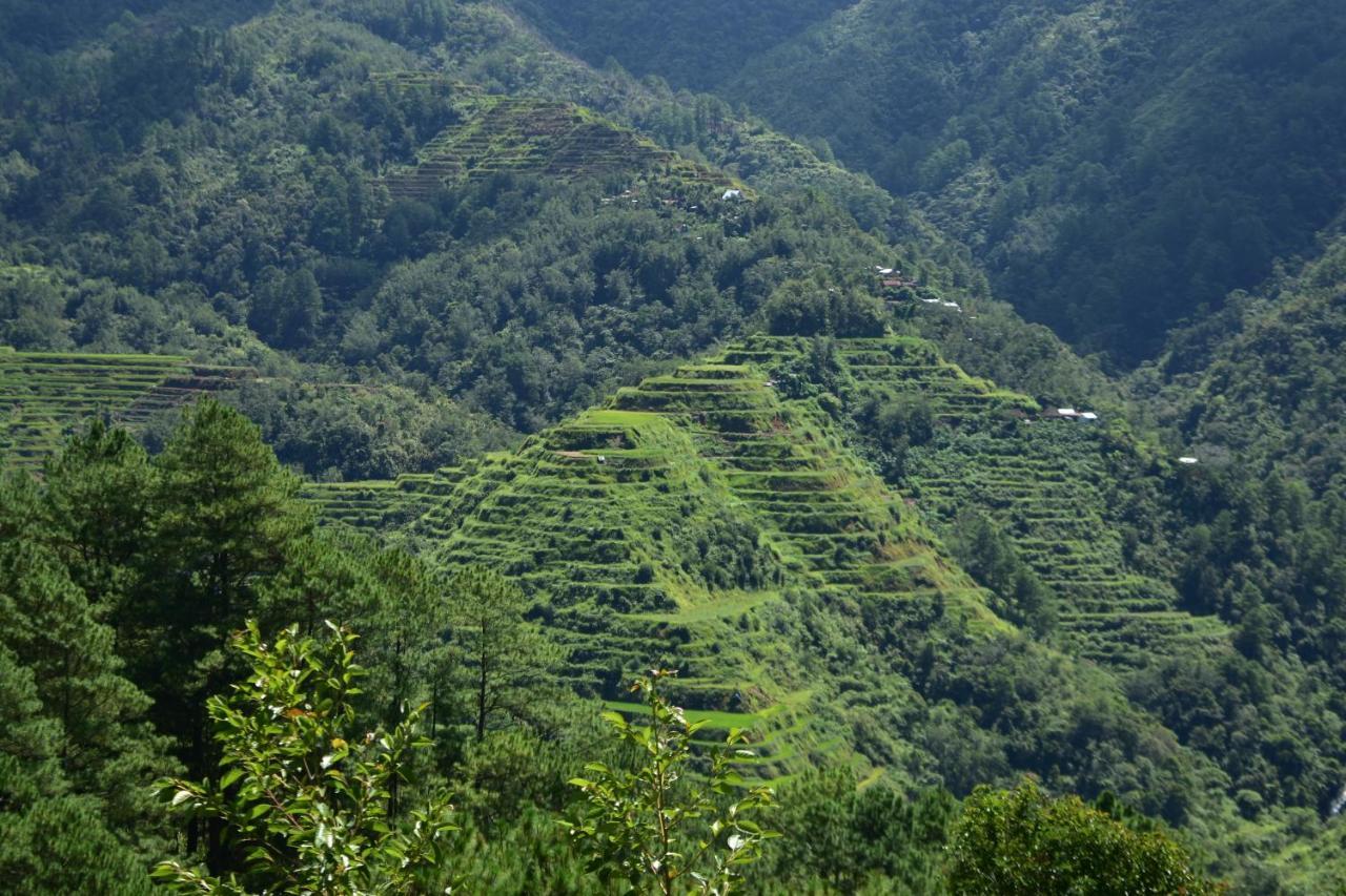 Hiwang Native House Inn & Viewdeck Banaue Exterior photo